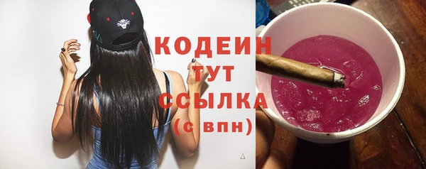 хмурый Покачи