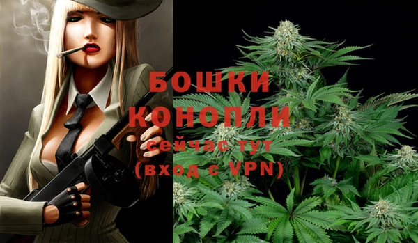 хмурый Покачи